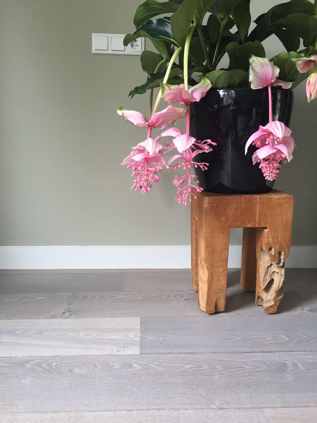 Eiken multiplank wit geolied, bij MoreFloors